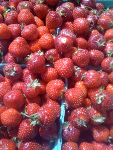 Early Glow Strawberries